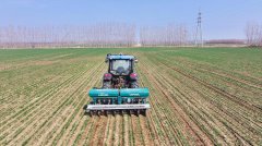 削减化肥取农药各10%